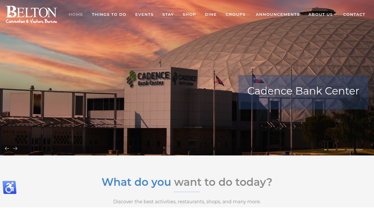 See Belton website by Revolution Web Studios