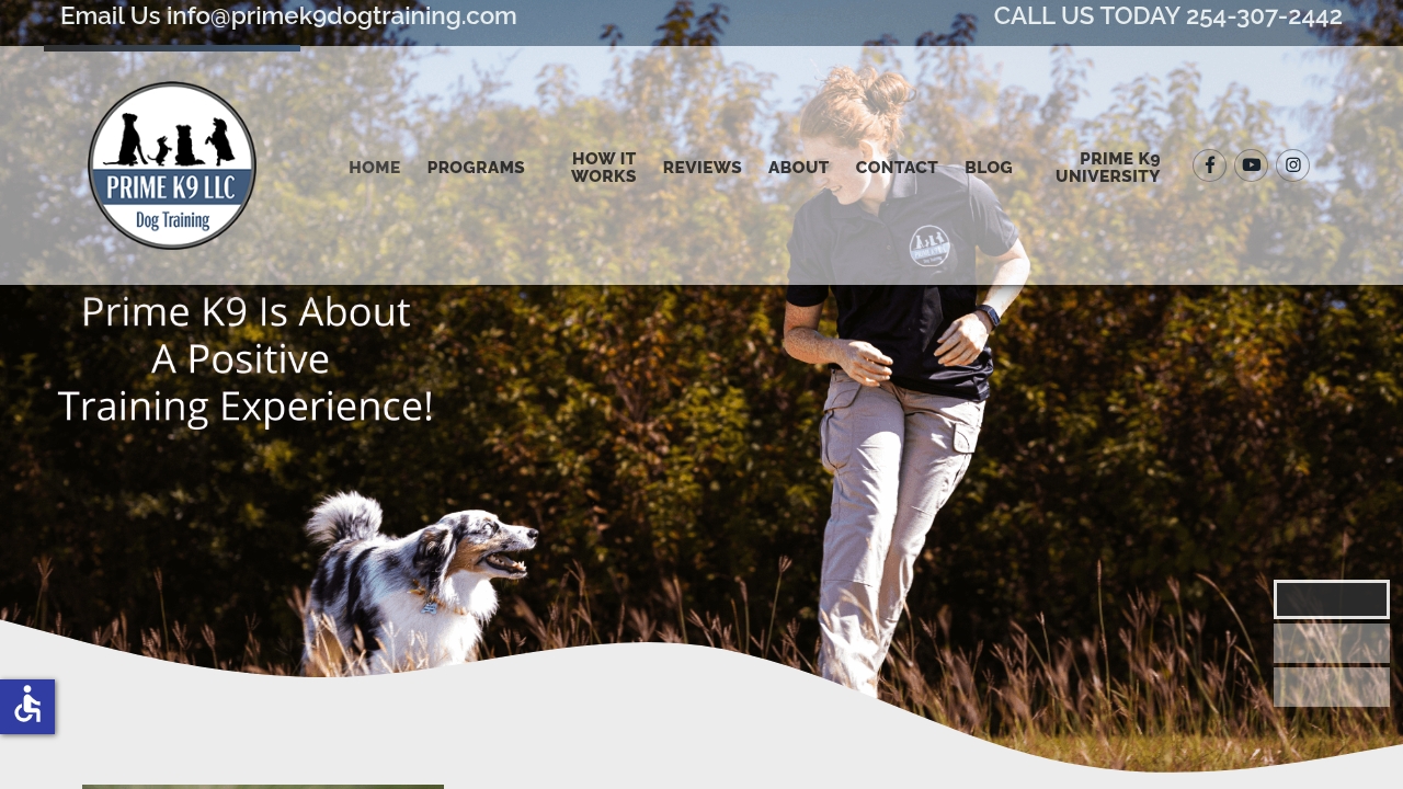 Prime K9 Dog Training website by Revolution Web Studios