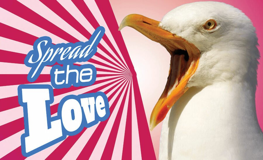 Why Your Social Advertising is Not Working Temple Texas USA